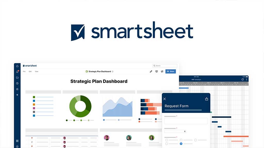 Who should opt for Smartsheet? 